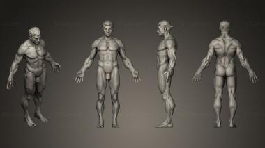 Figurines of people Man anatomy study 3d model